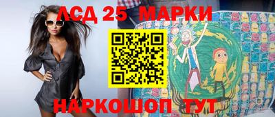 молекула духа Будённовск