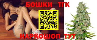 молекула духа Будённовск