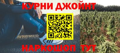 молекула духа Будённовск