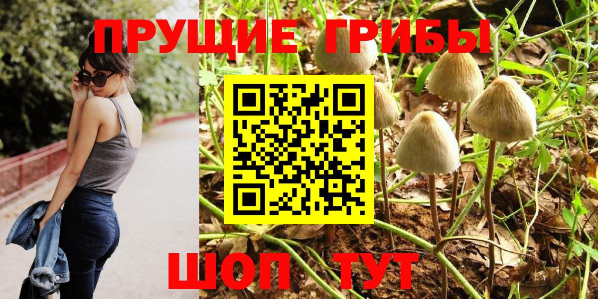 Галлюциногенные грибы Magic Shrooms  что такое наркотик  Кувандык 