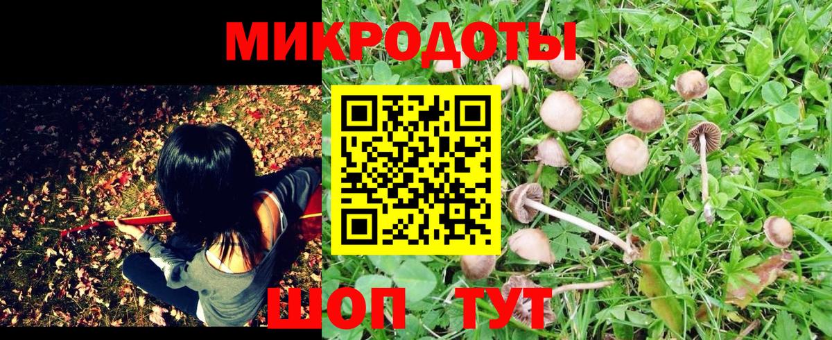 Псилоцибиновые грибы Magic Shrooms Кувандык