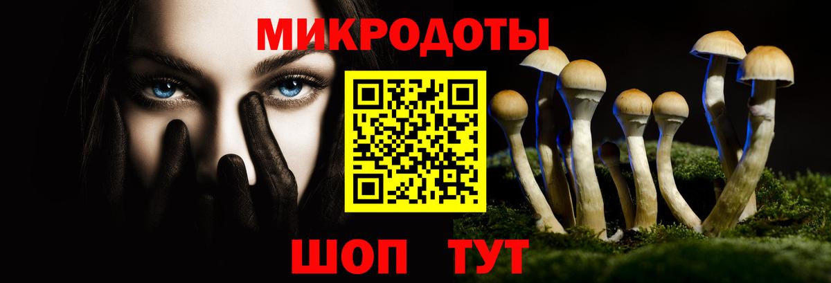Псилоцибиновые грибы Psilocybe  Галлюциногенные грибы мухоморы  Кувандык  Вход с VPN 